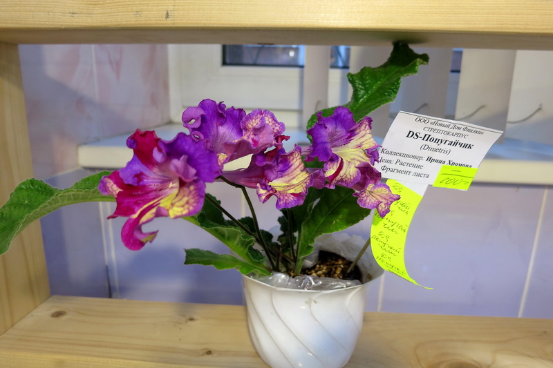 2019-02-28 16.38.32.JPG
