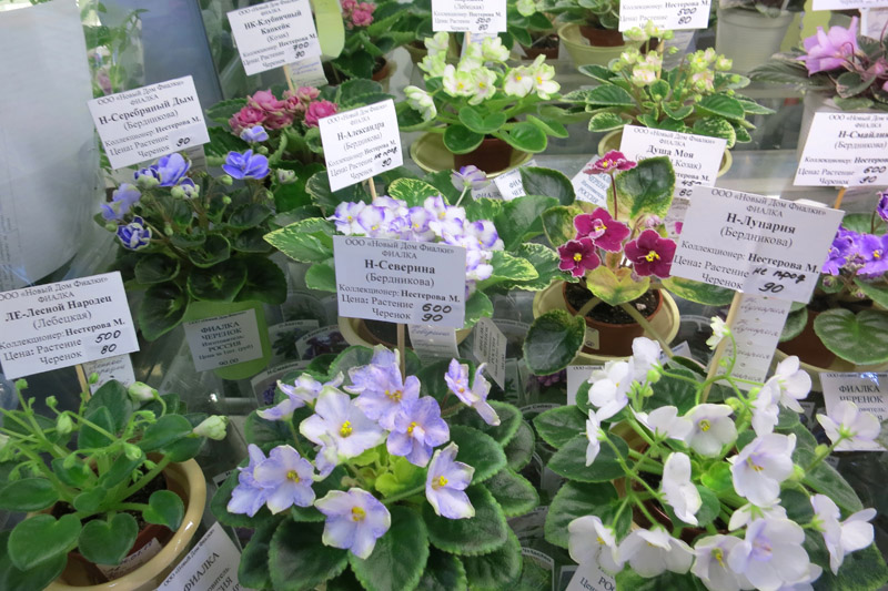 2019-02-28 18.56.14.JPG