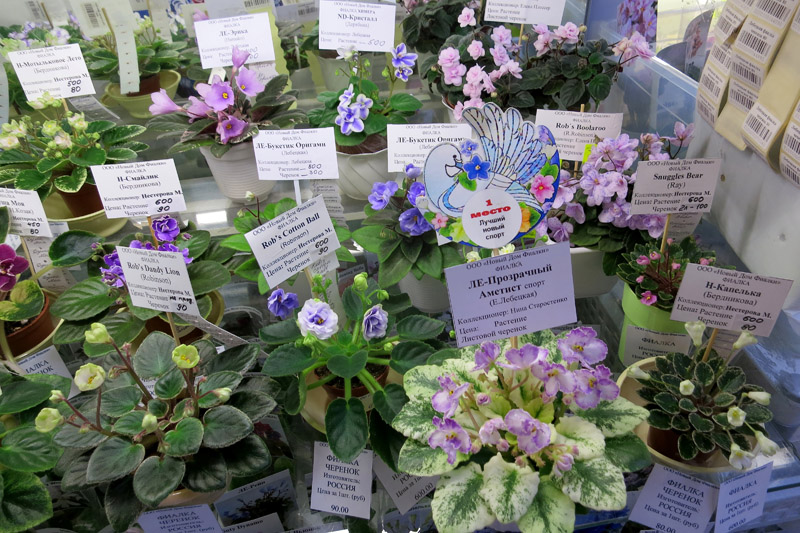 2019-02-28 18.56.19.JPG