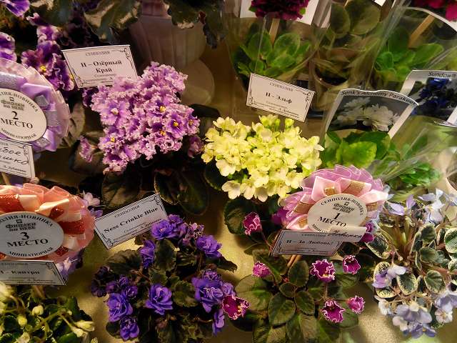 IMG_20190228_150801.jpg