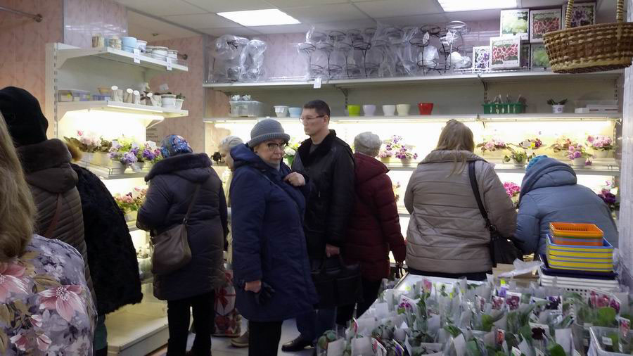 Посетители.jpg