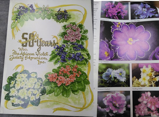 Юбилейный журнал AVSA 1996 г..jpg