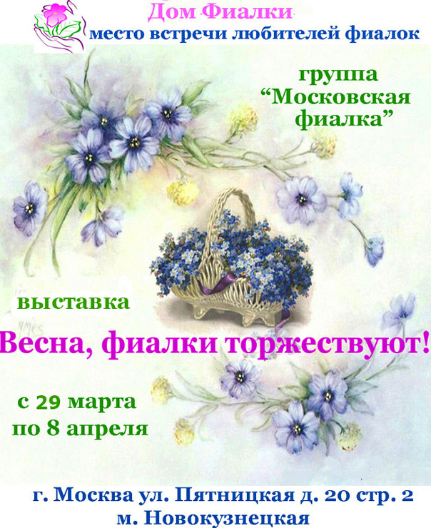 АФИША+.jpg