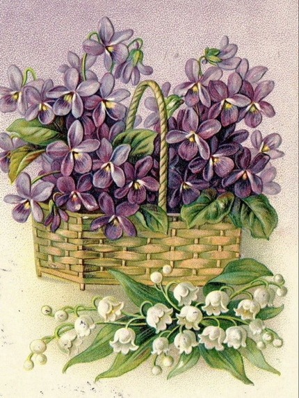 фиалочки.jpg