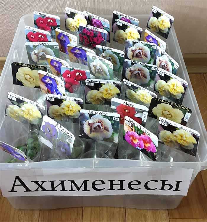 ахименесы.jpg