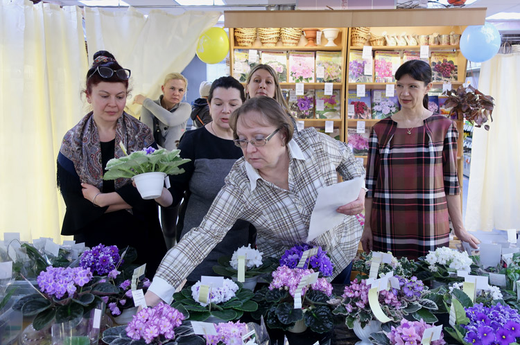 судейство-1.jpg