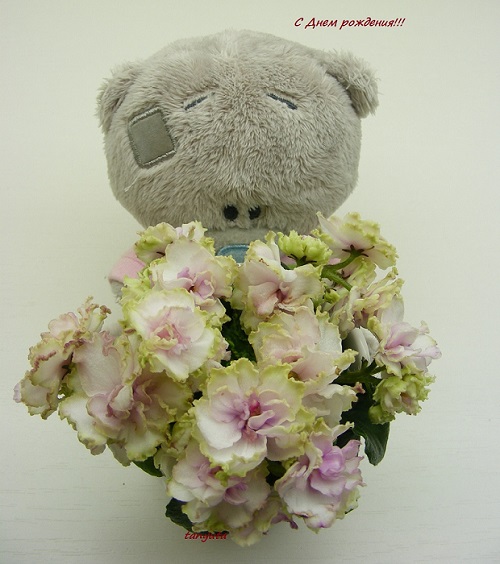 DSCF0170.JPG