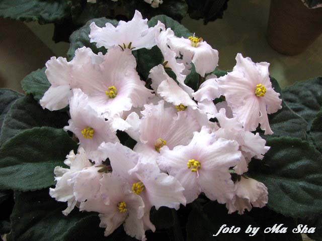 Image00006.jpg