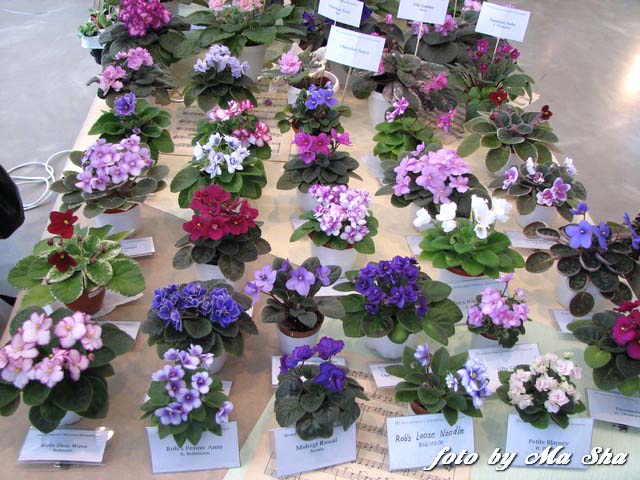 Image00028.jpg