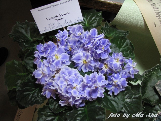 Image00054.jpg