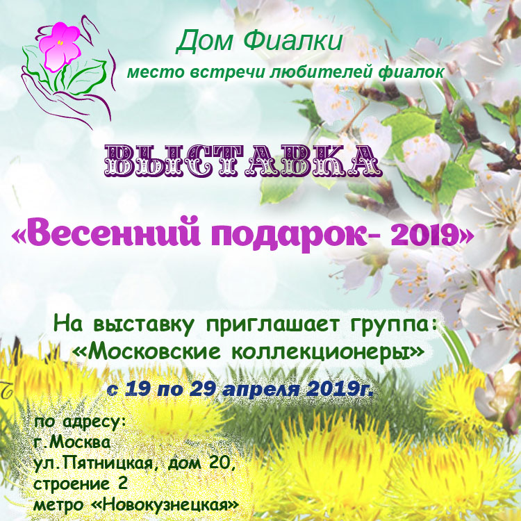 Весенний подарок-2019.jpg