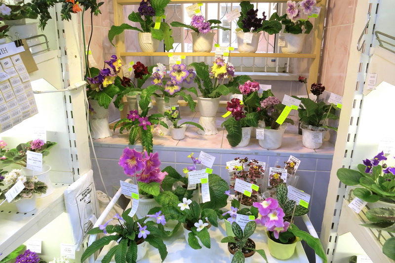 2019-04-18 17.52.53.jpg