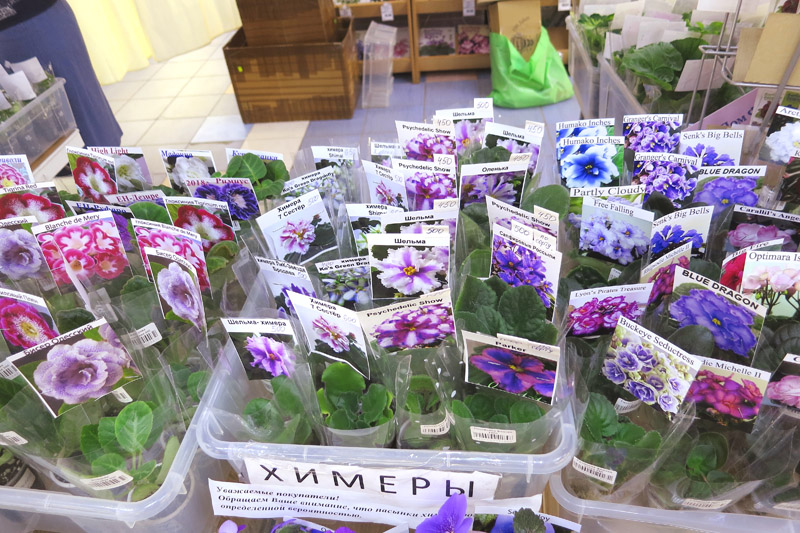 2019-04-18 19.03.59.JPG