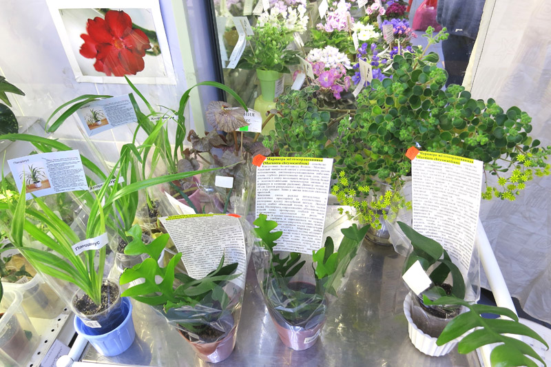 2019-04-18 19.04.47.JPG