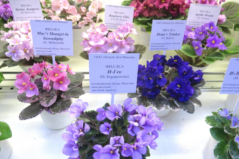 2019-04-18 15.04.58.JPG