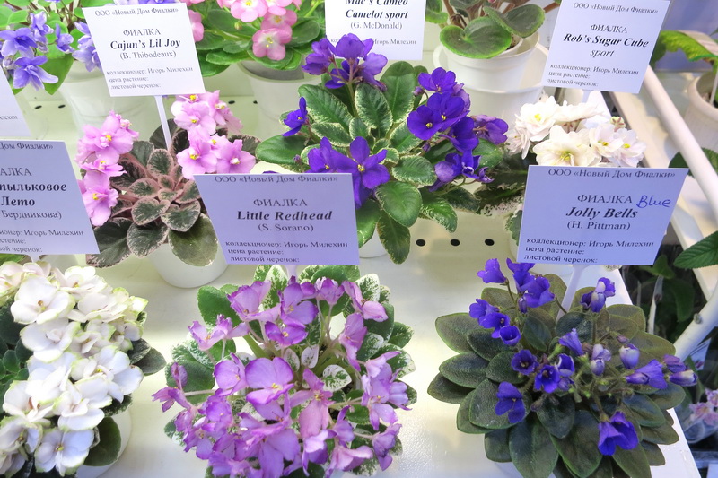 2019-04-18 15.05.32.JPG