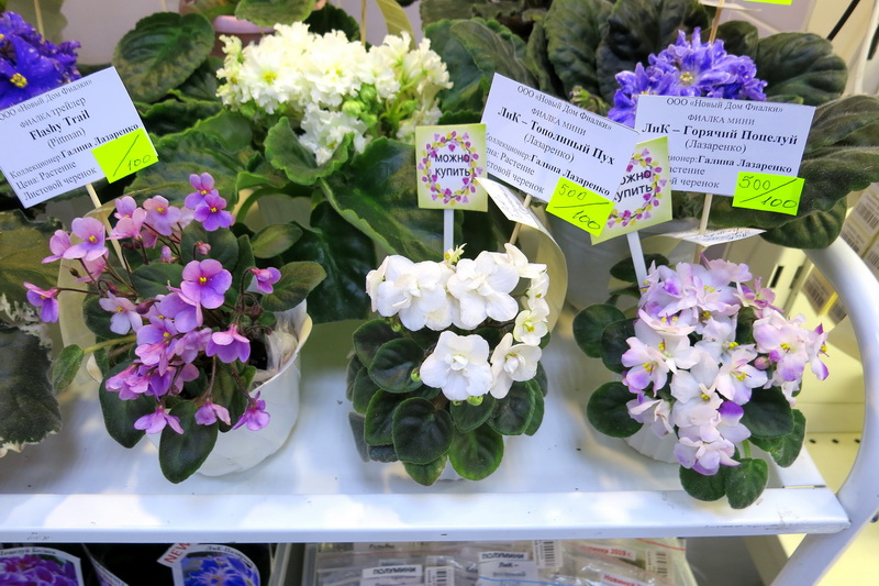 2019-04-18 15.46.17.JPG