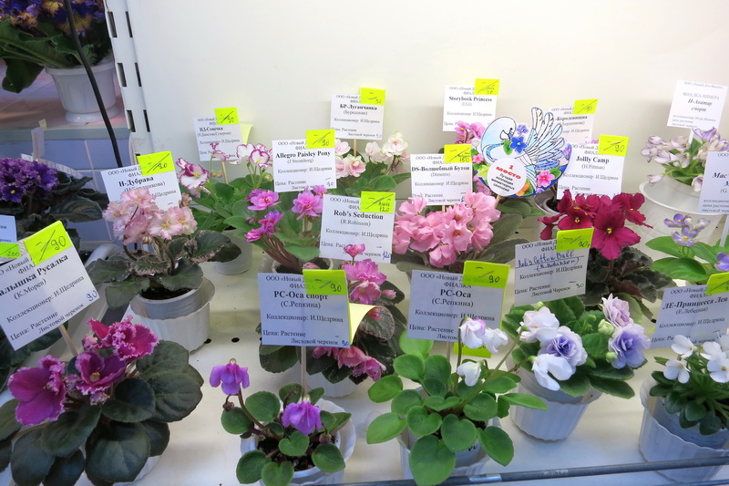 2019-04-18 17.53.38.JPG