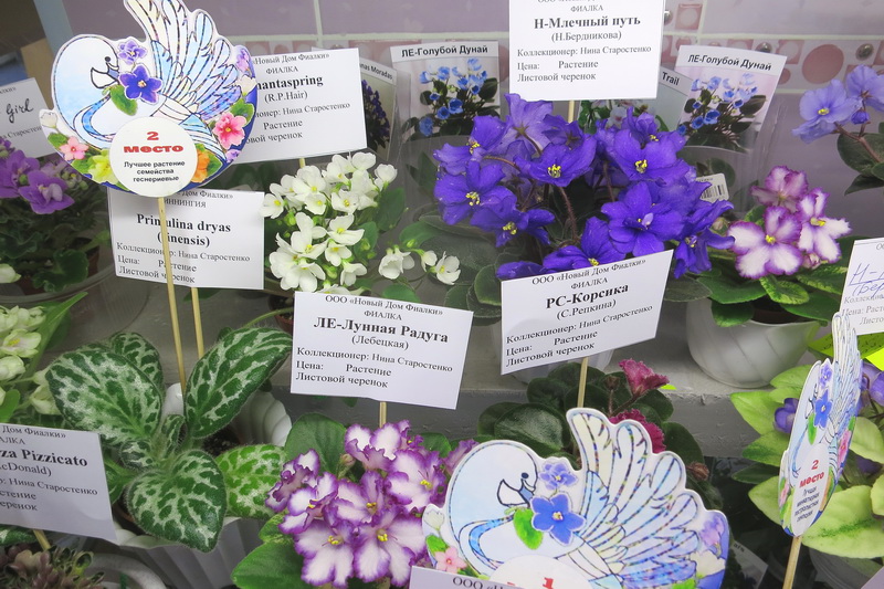 2019-04-18 18.48.41.JPG