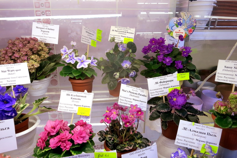 2019-04-18 18.49.01.JPG