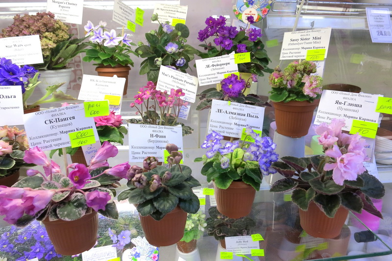 2019-04-18 18.49.09.JPG