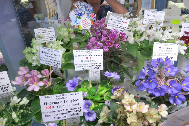 2019-04-18 18.49.21.JPG