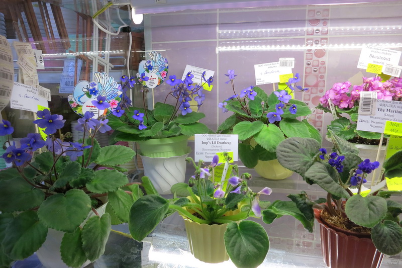 2019-04-19 14.50.27.JPG