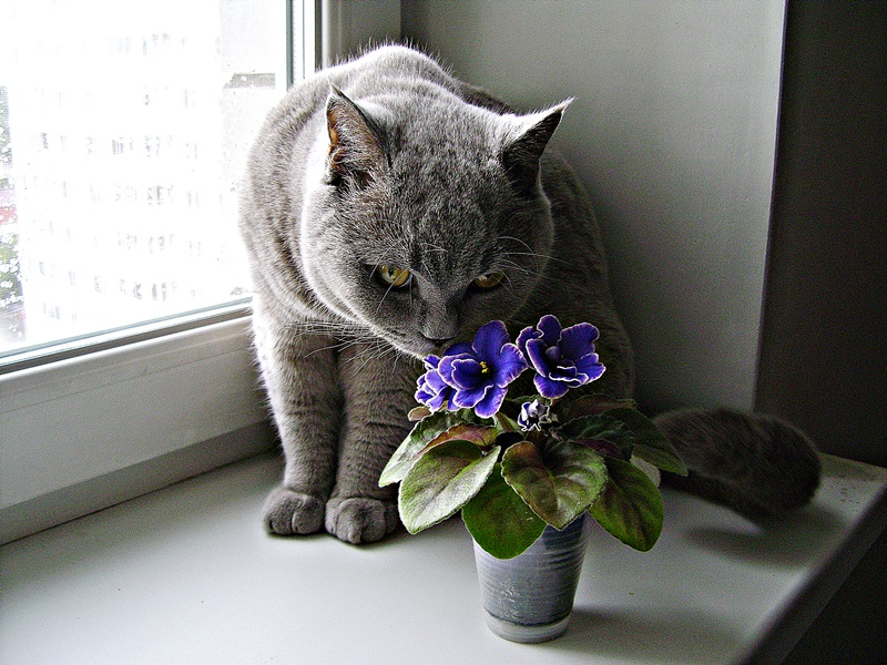 DSC00189-ДФ.JPG