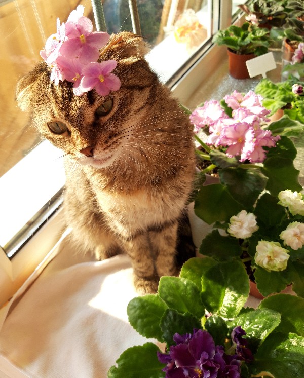 20190422_161408-01-600x746.jpeg