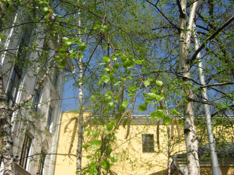 IMG_3735.JPG