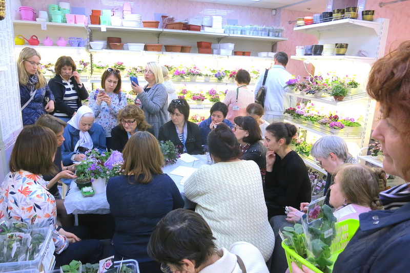 2019-04-28 16.21.11.JPG