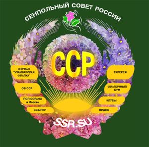 Сенпольный Совет Росcии 1.jpg