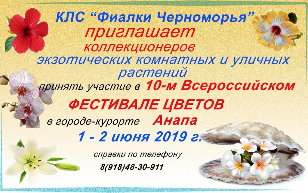 Фестиваль в Анапе.jpg