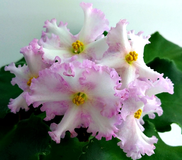 P_20190509_On.jpg