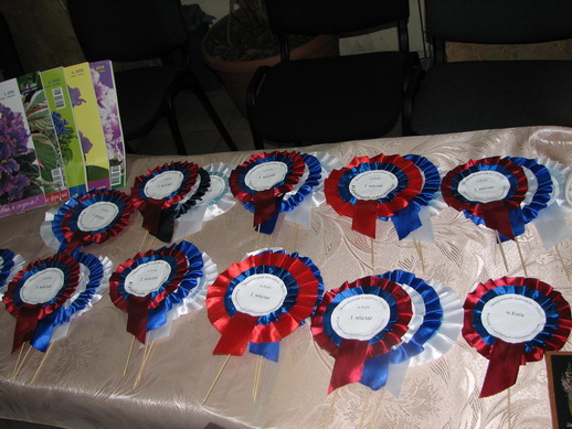IMG_1787.jpgmm.jpg