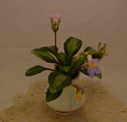 Souvenir