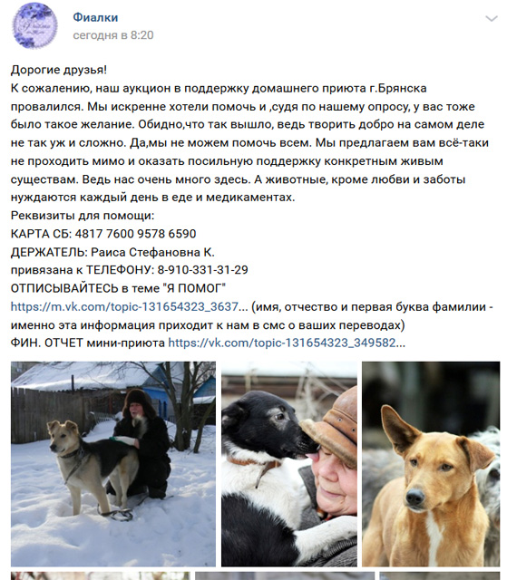 2019-05-22 Фиалки.jpg