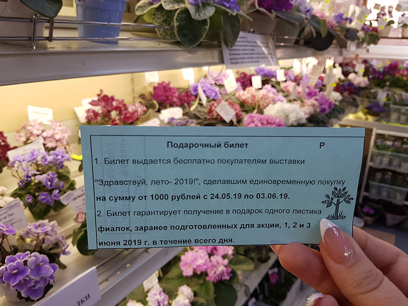 Подарочный билет.jpg