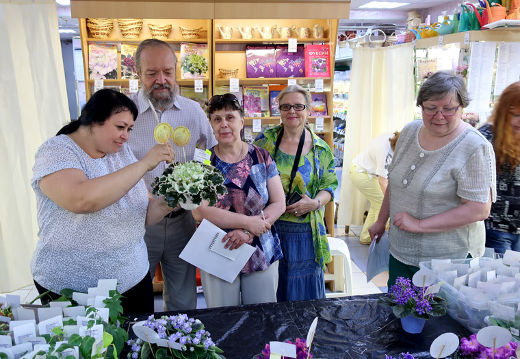 судьи-2.jpg