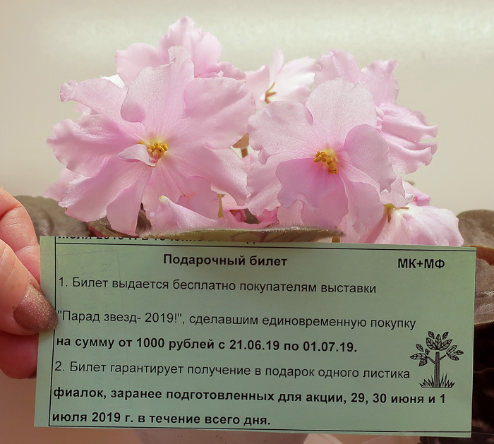 БИЛЕТ.jpg