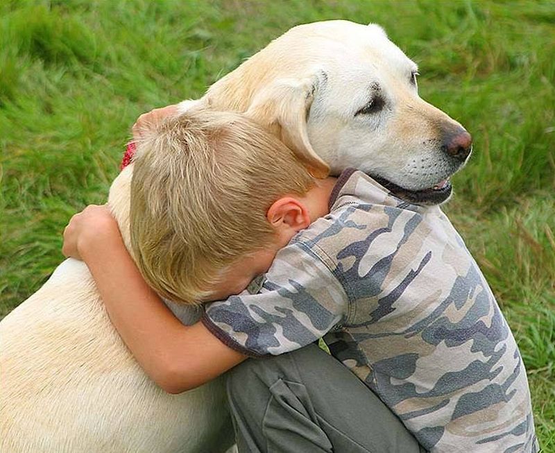 dogday5.jpg