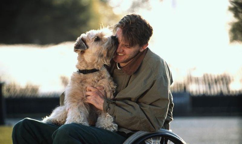 dogday11.jpg