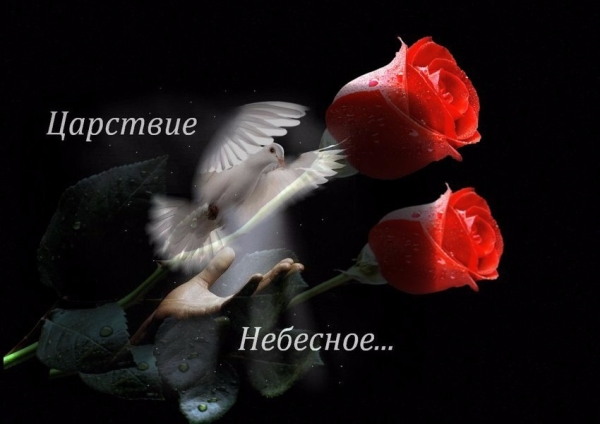 11b09d9e2386.jpg