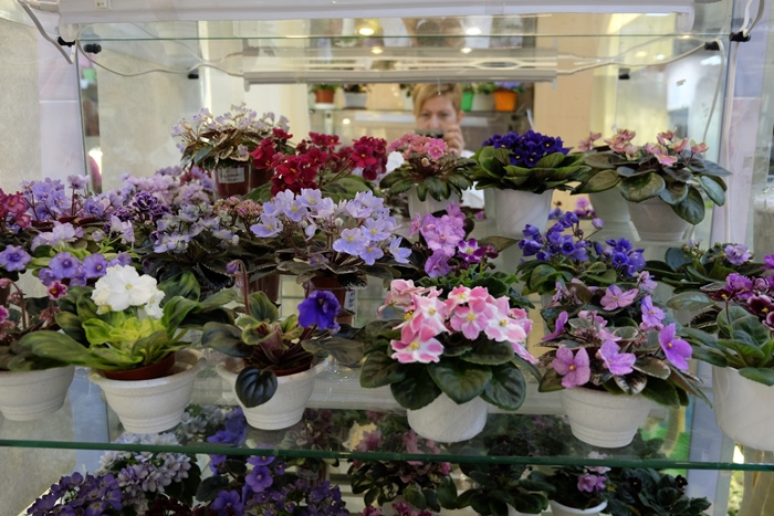 DSCF9644.JPG