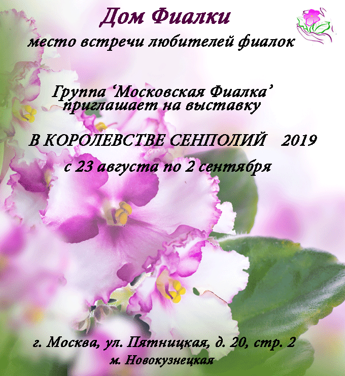 Афишаавгуст.gif