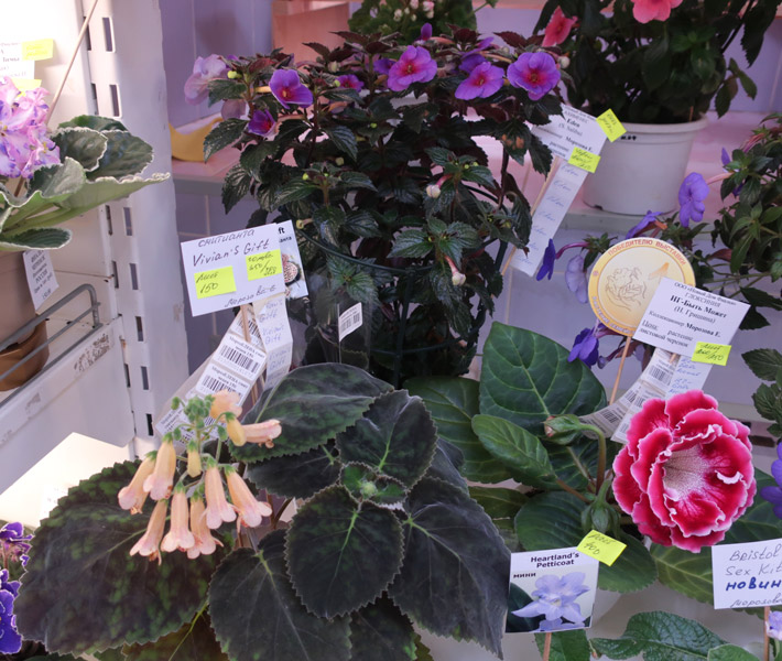 разное-4.jpg