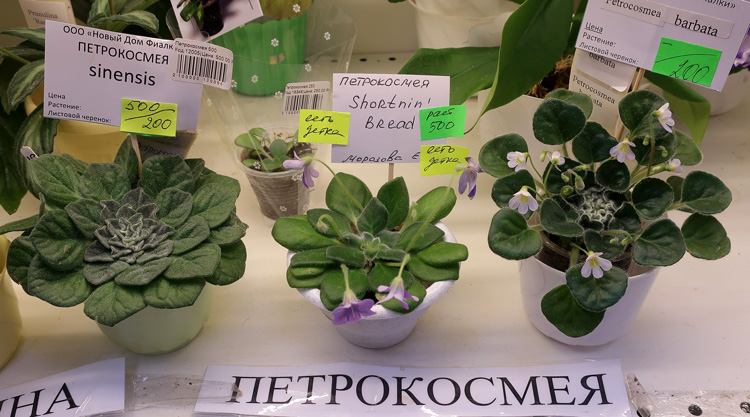 петрокосмеи.jpg