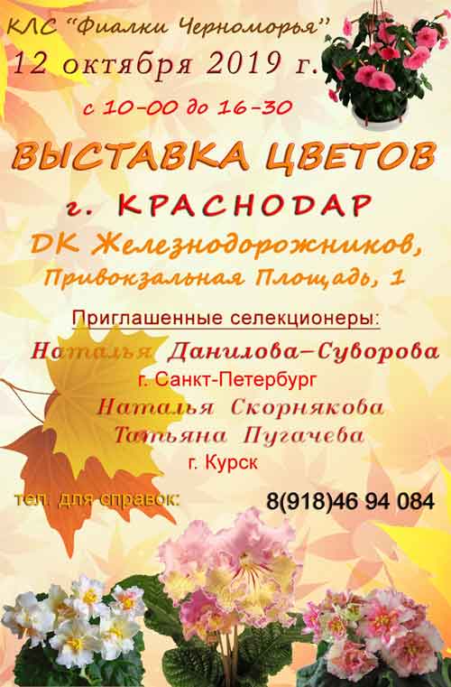krasnodar.jpg