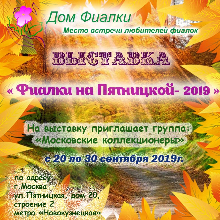 Фиалки на Пятницкой 2019.jpg