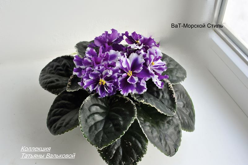 ВаТ-Морской Стиль .  (Copy).JPG